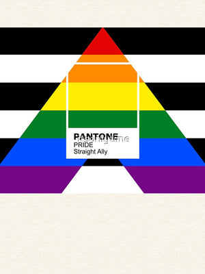 Pride Straight Ally Pantone Pullover Hoodie RB0903 | Omar Apollo Shop tc076