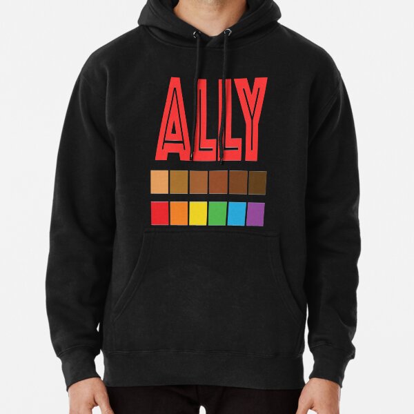 (Proud) Ally - Straight Friend - Gay Pride Pullover Hoodie RB0903 | Omar Apollo Shop tc076